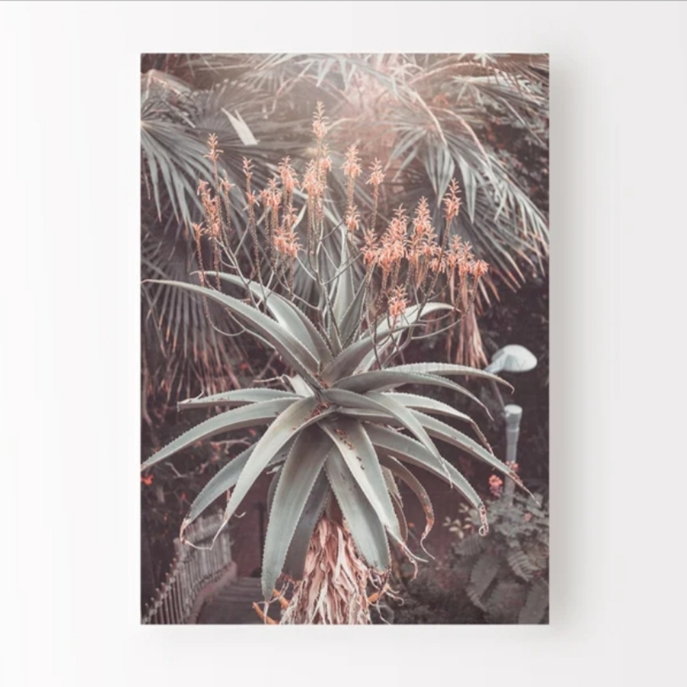 🌿 Botanical Gardens | 8x10 Photo Print || wall art, home decor, gift